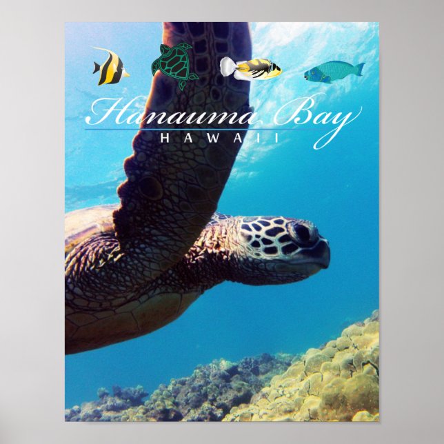 Poster Hanauma Bay Hawaii Sea Turtle (Frente)