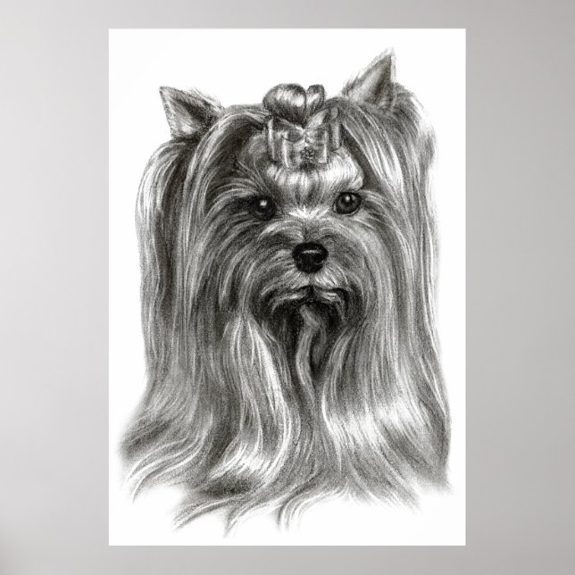 Poster Hand Drawn Yorkshire Terrier (Frente)