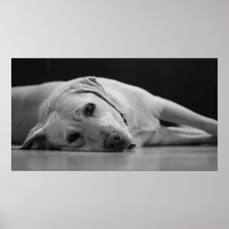 Poster Hank 'ONE' Canvas