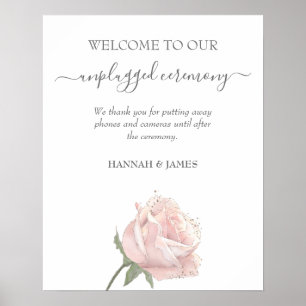 Poster Hannah Sinal de Cerimônia de Casamento Despluga