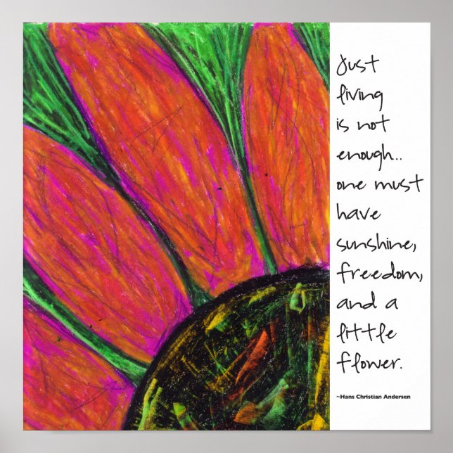 Poster Hans Christian Anderson Cote (Frente)