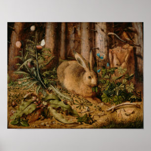 Pôster Hans Hoffmann A Hare In The Forest