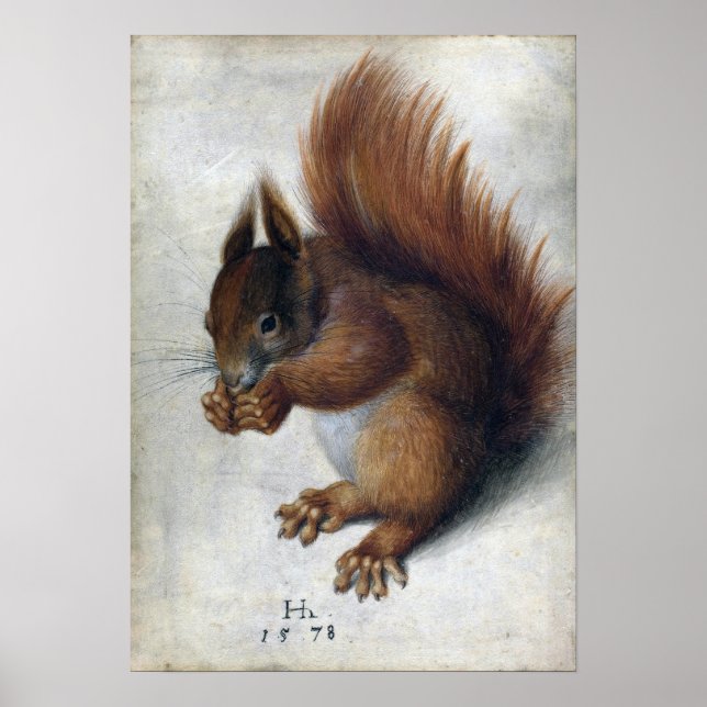 Poster Hans Hoffmann Red Squirrel (Frente)