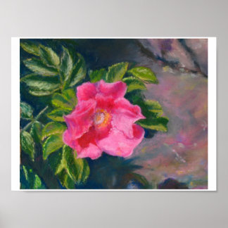 Poster Hansa Shore Rosa