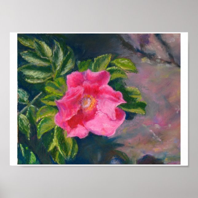 Poster Hansa Shore Rosa (Frente)