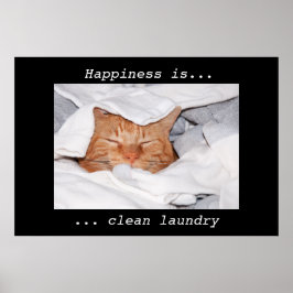 Pôster Happiness is clean laundry