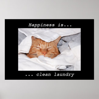 Pôster Happiness is clean laundry