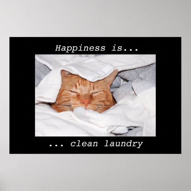 Pôster Happiness is clean laundry (Frente)