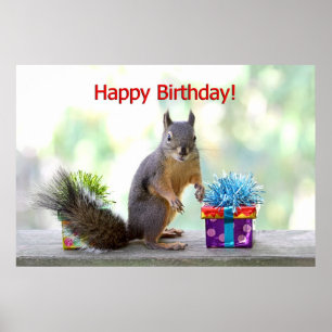 Pôster Happy Birthday Squirrel