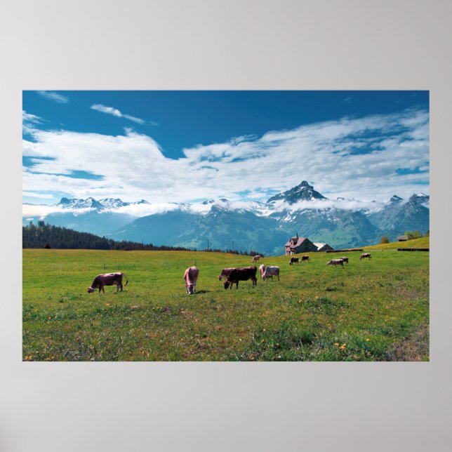 Poster Happy Cows on the Farm in Switzerland (Frente)