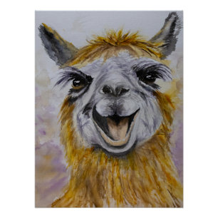 Pôster Happy Lama