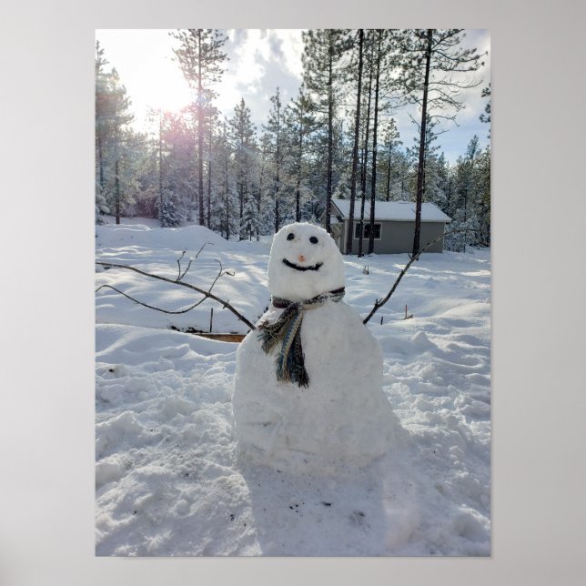 Poster Happy Snowman - Foto original de inverno (Frente)