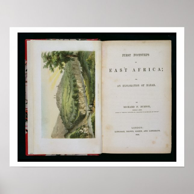 Pôster Harar do Café Stream, de 'Primeiros Passos (Frente)