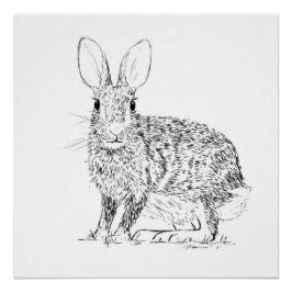 Pôster Hare Monochrome Print