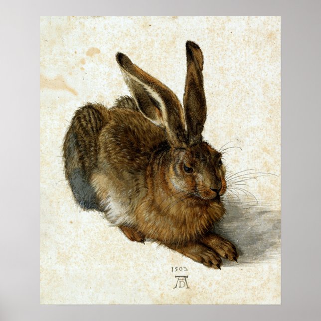 Poster Hare por Albrecht Dürer (Frente)