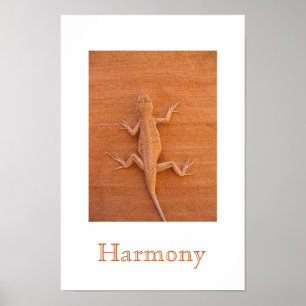 Poster Harmonia