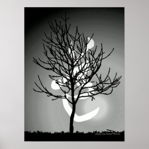 Pôster Harmonia do 道 calmo do esplendor/Tao (TBA)