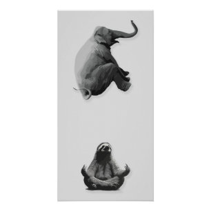 Pôster Harmonia entre Elefante e Preguiça Meditativa