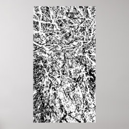 Poster Harmonia Primal