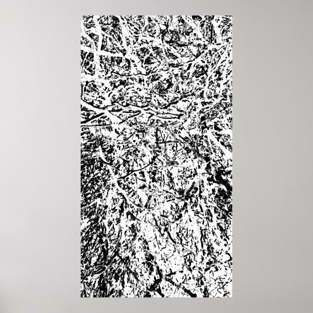 Poster Harmonia Primal (Frente)