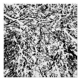 Pôster Harmonia Primal