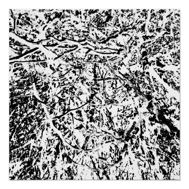 Pôster Harmonia Primal (Frente)