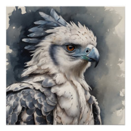 Pôster Harpy Eagle no 1 Poster brilhante