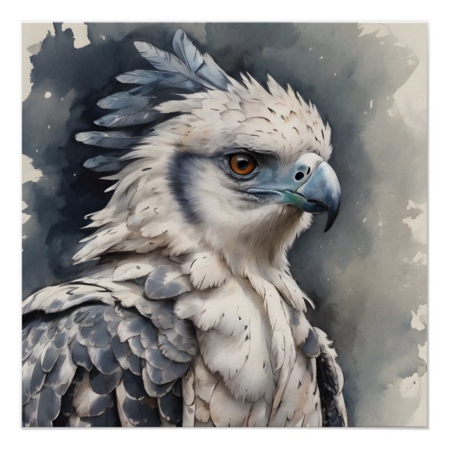 Pôster Harpy Eagle no 1 Poster brilhante (Frente)