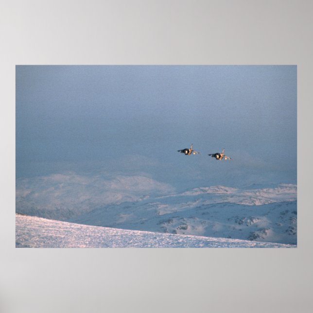 Poster Harrier Jump Jets (Frente)