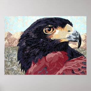 Pôster Harris Hawk-têxtil