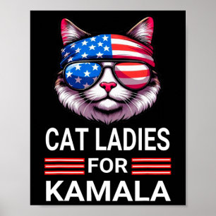 Poster Harris Wheimer 2024 Engraçado Eleição De Gato Kama