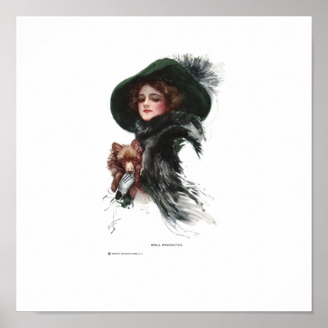 Poster Harrison Fisher Bem Protegido (Frente)