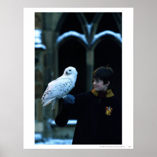 Pôster Harry e Hedwig 2