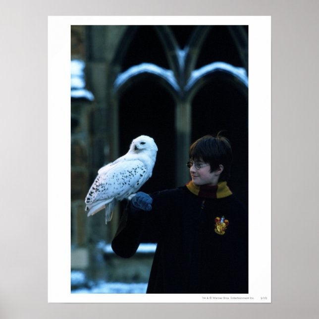 Pôster Harry e Hedwig 2 (Frente)