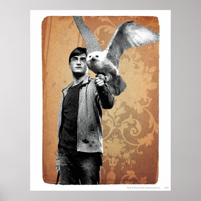 Poster Harry Potter 12 (Frente)