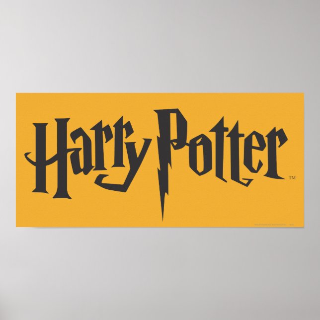 Poster Harry Potter 2 (Frente)