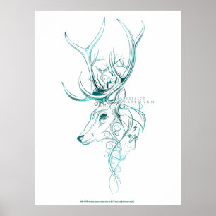 Poster Harry Potter   Aguamenti EXPECTO PATRONUM™ Stag