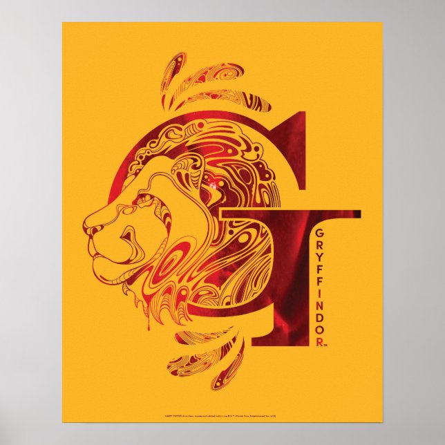 Poster Harry Potter | Aguamenti GRYFFINDOR™ Gráfico (Frente)