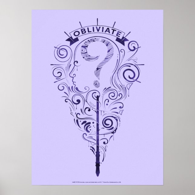 Poster Harry Potter | Aguamenti Obliviate Graphic (Frente)