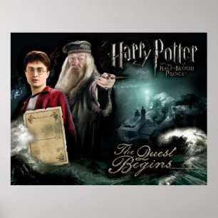 Pôster Harry Potter and Dumbledore