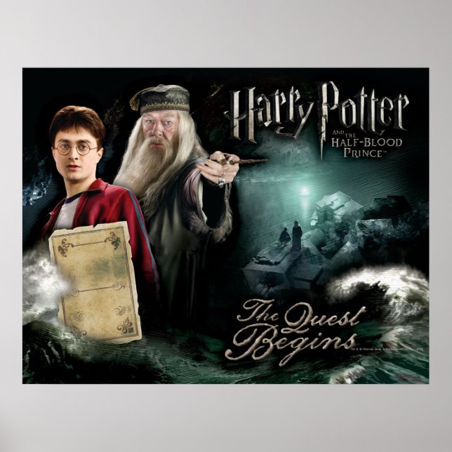 Pôster Harry Potter and Dumbledore (Frente)