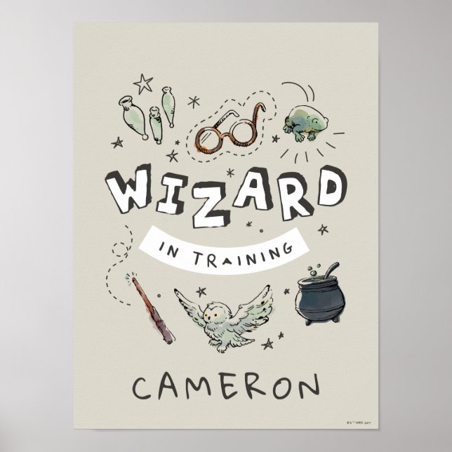 Poster HARRY POTTER™ | Assistente em Formação (Frente)