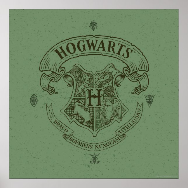 Pôster Harry Potter | Bandeiras Hogwarts (Frente)