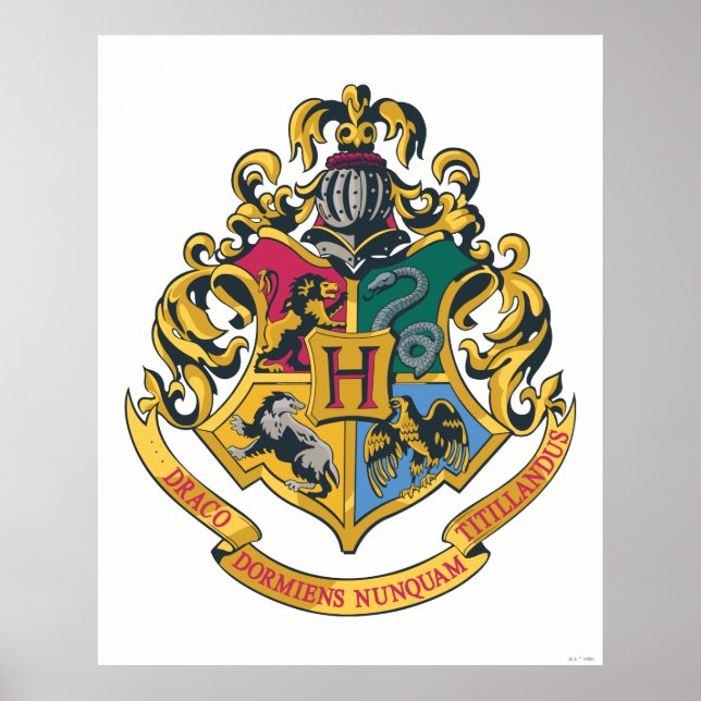 Poster Harry Potter| Cobertura Hogwarts - Cor do Cheio (Frente)
