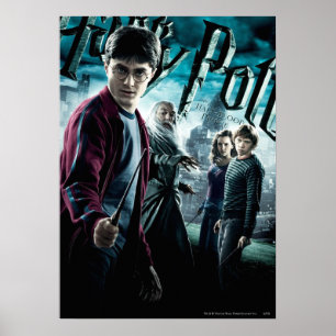 Pôster Harry Potter com Dumbledore Ron e Hermione 1