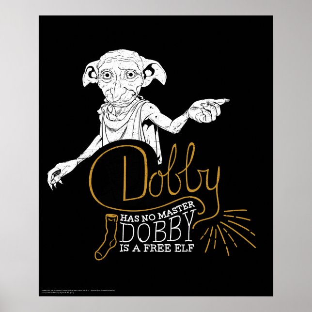 Poster Harry Potter | Dobby Não Tem Mestre (Frente)