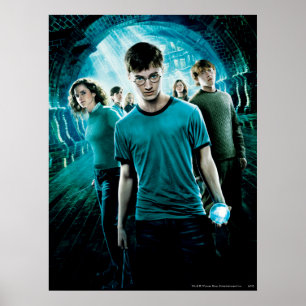 Poster HARRY POTTER E A ORDEM DO PHOENIX™ Blue