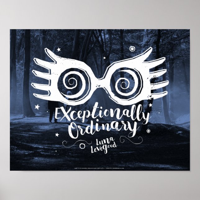 Poster Harry Potter | Excepcionalmente ordinário (Frente)