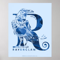 Harry Potter | Gráfico Aguamenti RAVENCLAW™