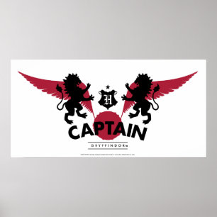 Poster Harry Potter   GRYFFINDOR™ House Quidditat Capitão